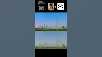 Colour grading tutorial #editingtutorial #colourgrading #capcutedit