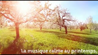 La musique calme au printemps