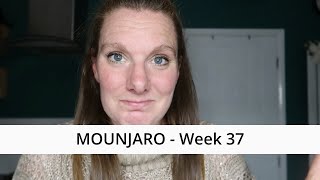 Montjaro - Semaine 37 - J'ai du mal avec cette partie de mon voyage