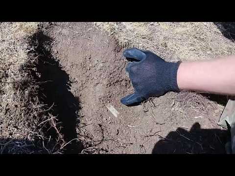 ტაბახმელა. 1921 წ. სანგარი. WWI archeology. Cartridges