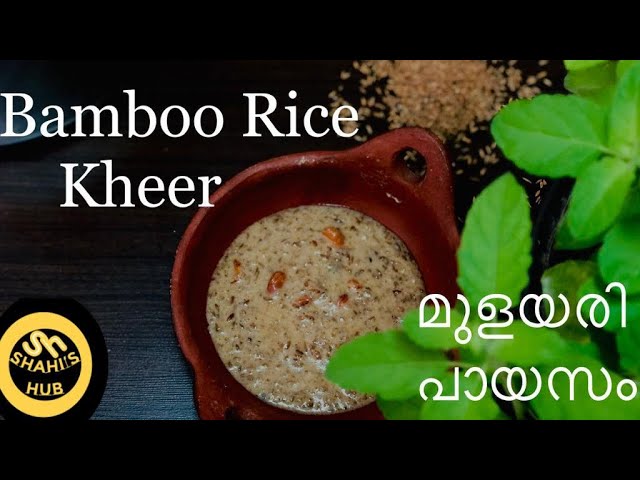 Bamboo Rice Kheer|Mulayari Payasam |മുളയരി പായസം |SHAHI