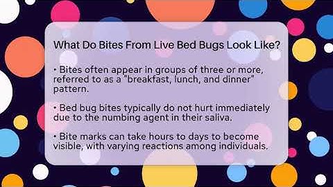 What Do Bites From Live Bed Bugs Look Like? - Insects and Invaders