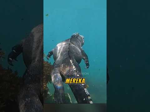 Penampakan Godzilla di