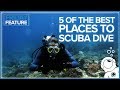 5 Of The Best Places To Scuba Dive