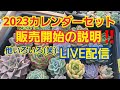 2023リエールカレンダーセット販売開始の日程説明＆色々LIVE