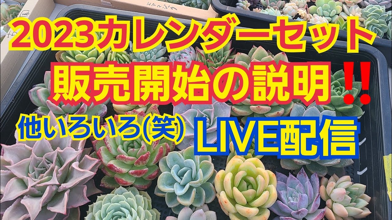 2023リエールカレンダーセット販売開始の日程説明＆色々LIVE - YouTube