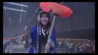 Hashire Uma Musume LIVE