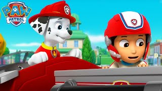 giant vegetable attack paw patrol episode cartoons for kids