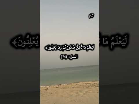 و إ ن ر ب ك ل ي ع ل م م ا ت ك ن ص د ور ه م و م ا ي ع ل ن ون النمل 74