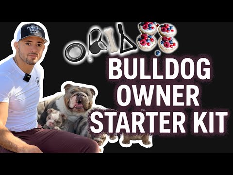 Bulldog Owner Starter Kit: How to Walk, Feed, Play, & Pick Reputable Breeder | Bulldog Basics Guide