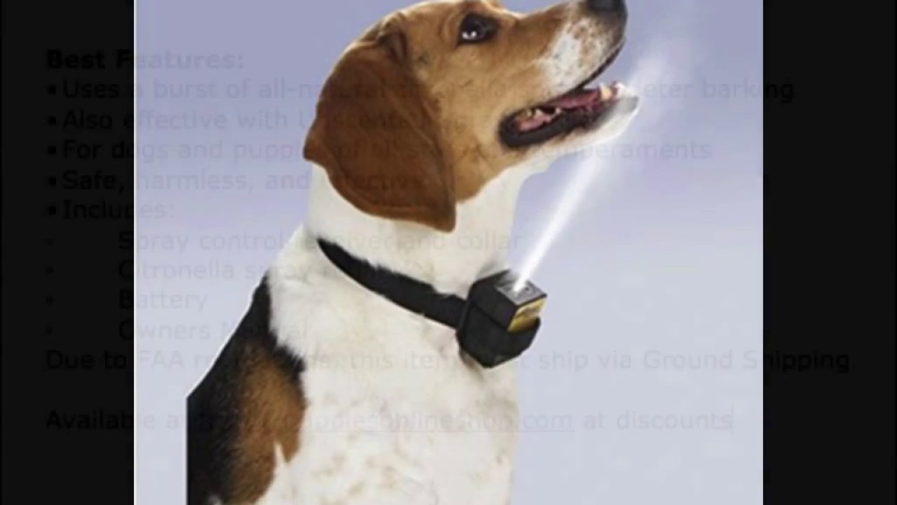 Petsafe Gentle Spray No Bark Collar Youtube