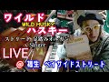 ワイルド ハスキー ~ストリート足踏みオルガンSinger~ LIVE &amp; インタビュー  @ 福生ベイサイドストリート   ウッドベース 近藤 宜臣