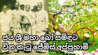 ජය ශ්‍රී මහා බෝ සමිඳුට වින කැටූ ජේමිස් අප්පුහාමි