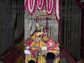 Radhey Radhey🌸🦚श्रीजी🥺🫶🏻.#shribankebihariji #bankebiharitemple #vrindavandham #radharani #radheradhe