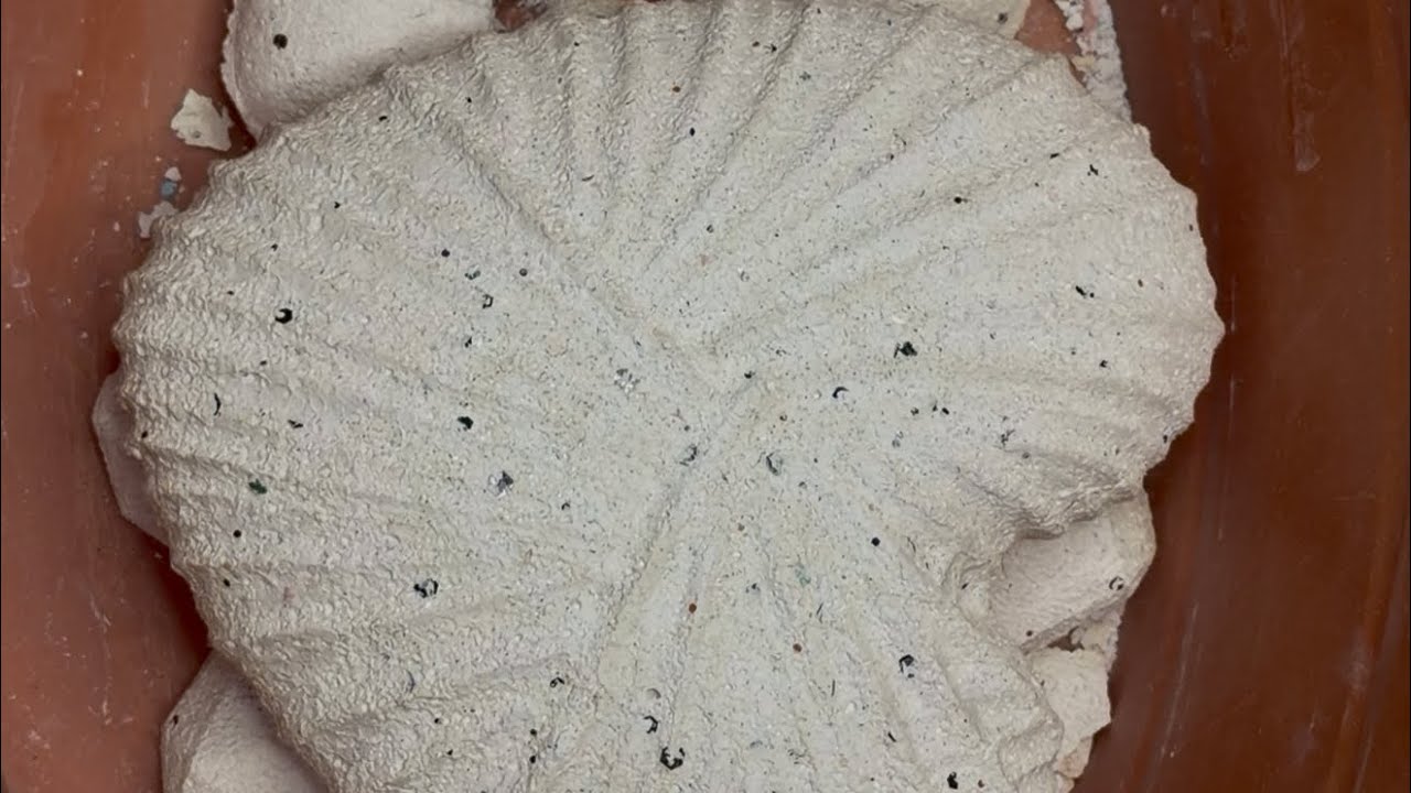 Baby powder and cornstarch reforms 