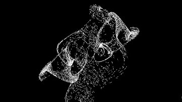 Complex Attractor