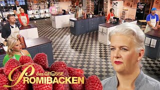 Reise vorbei! Welcher Promi muss als Erstes gehen? | Entscheidung 1 | Das große Promibacken | SAT.1