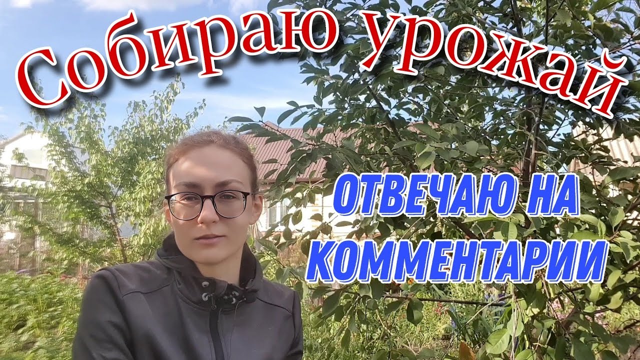 Мирька из германии дзен