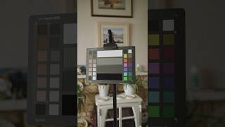 How to use a Color Checker for video #cinematography #filmmaking #youtubeshorts