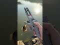 Catching fish on a Lego bait caster #fishing #shorts ￼