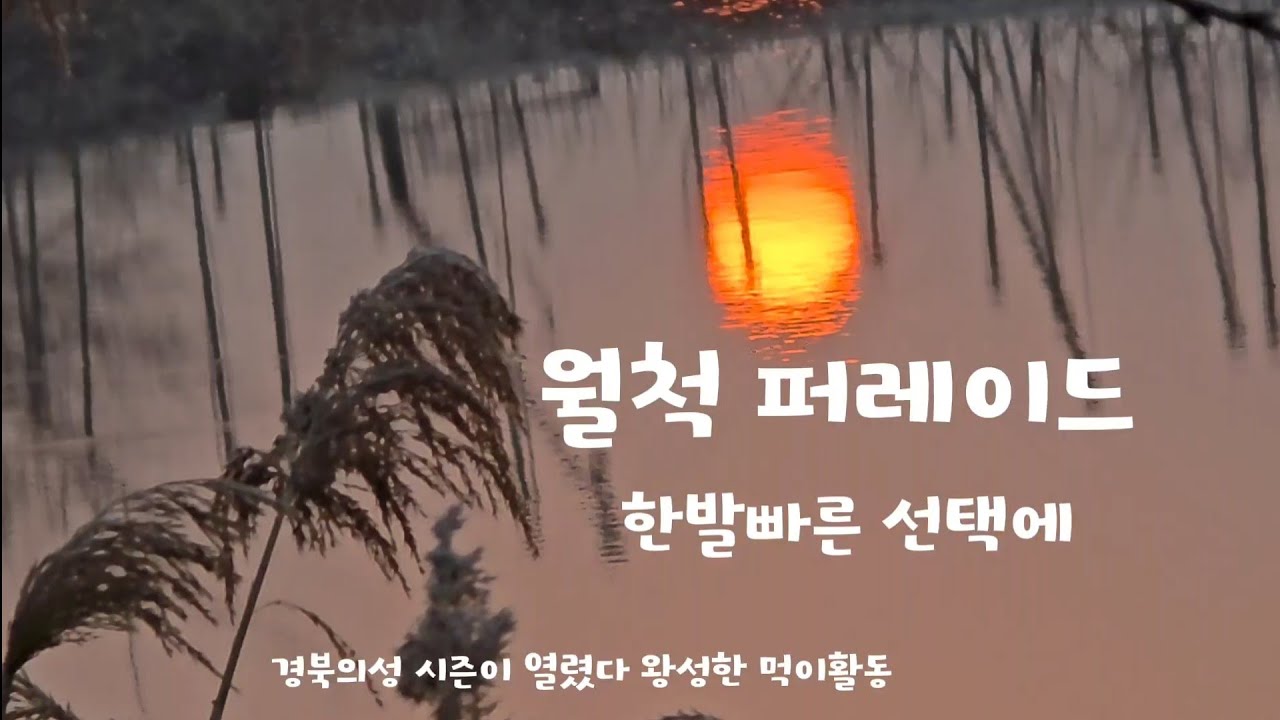 한발빠른 선택 예감적중//월척 퍼레이드//시즌이 열렸다 #붕어낚시 