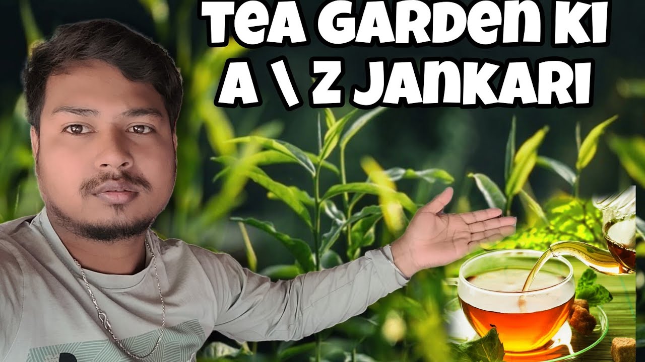 nepal tea garden || नेपाल टी गार्डन || my fast व्लॉग    😘😘 