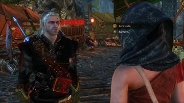 The Witcher 2 - Witcher Problems