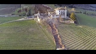 "Nature Unleashed: Terrifying Rock Slides Caught on Camera"