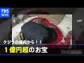 クジラの体内から1億円超のお宝発見