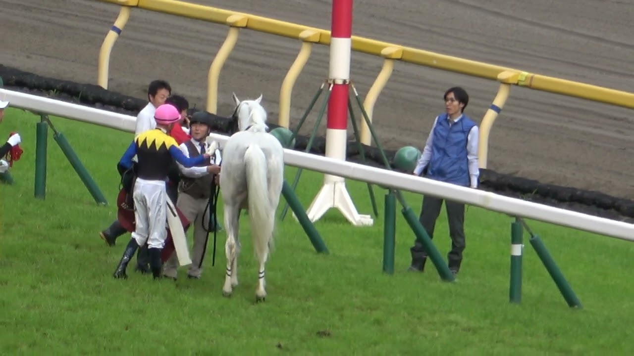 【ハヤヤッコ】レース中に馬体に故障を発生 無事を祈るばかり 現地映像