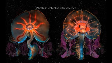 Superradiance | Chapter 1: Embodied Simulation by Memo Akten & Katie Hofstadter [CAPTIONS] 3S