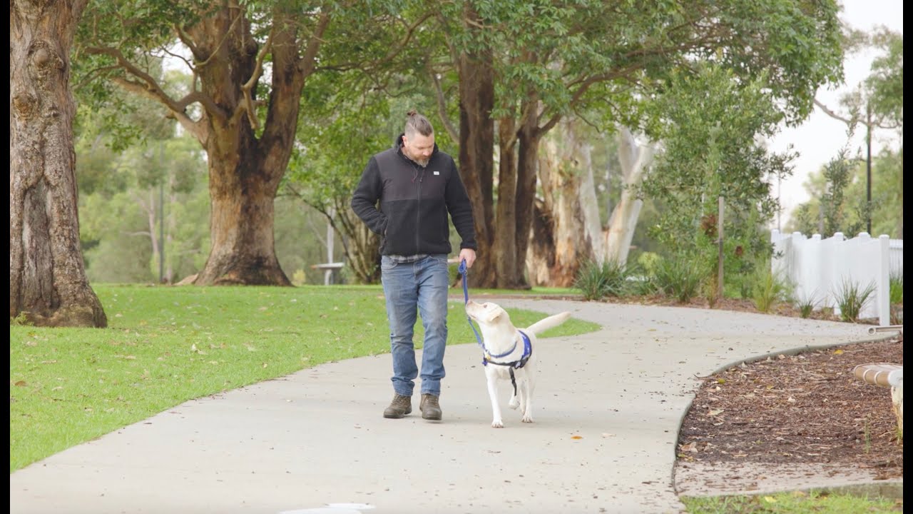 Assistance Dogs Australia: Companions of Change
