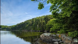Enchanting Forest Walk Ending at STUNNING Waterfront
