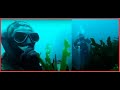 scuba diver terrified by a freediver