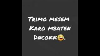 Story wa__Reff tatu