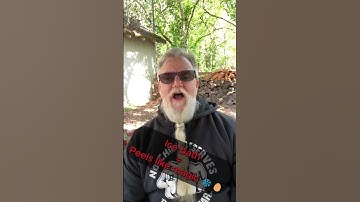 🍳 The Chemistry of a Perfect Boiled Egg