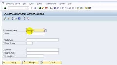How To Create ZTABLE or New Custom Table in SAP