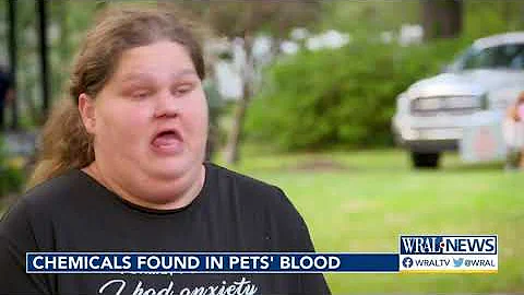NC State study reveals elevated levels of toxic chemicals in blood of animals