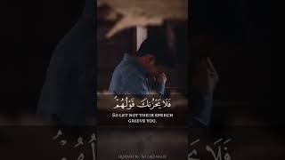 Surah Yaseen verse 76 | Ali Malik | سورة یٰسٓ | علي ملك
