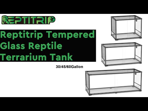 Reptitrip Tempered Glass Reptile Terrarium Tank 2024 NEW ARRIVAL