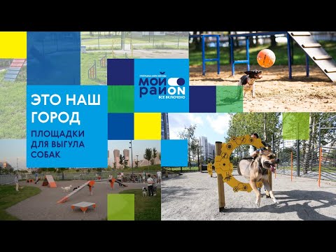Это наш город. Площадки для выгула собак в Москве