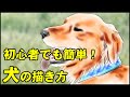 [無料ダウンロード！ √] ��ールデン レトリバー イラスト 158829-ゴールデン レトリバー イラスト リアル