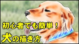 絵の描き方 ゴールデンレトリバーの絵の書き方 初心者でも簡単な犬のイラストのコツ Youtube