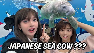Japan Me Yeh Kya Hota Hai?😨 Indian Girl In Japan
