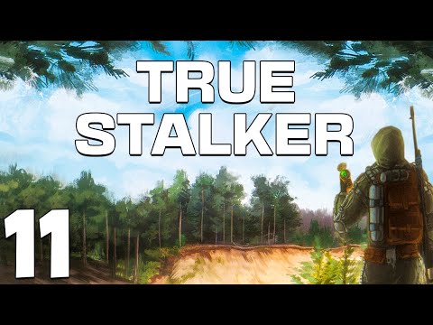 Видео: S.T.A.L.K.E.R. True Stalker #11. Бандитская Долина