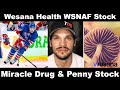 Wesana Health Penny Stock WSNAF | Miracle Drug Story For Traumatic Brain Injury CEO Daniel Carcillo