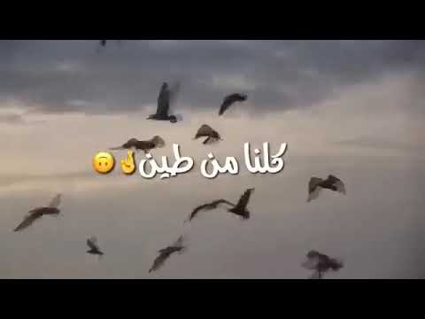 من تكبر طاح مافاده الغرور مقصوده