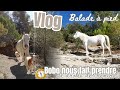 Vlog  bobo nous fait prendre de droles de chemins 