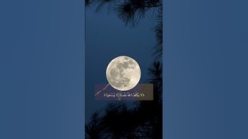 آيات من سورة البقرة بصوت الشيخ ناصر القطامي || #اكسبلور #قرآن