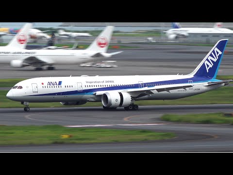 ANA全日空　Boeing 787-9 JA936A 1/200 Amazon.com: Hasegawa 1:200 ANA B787-9 Airliner Model Kit